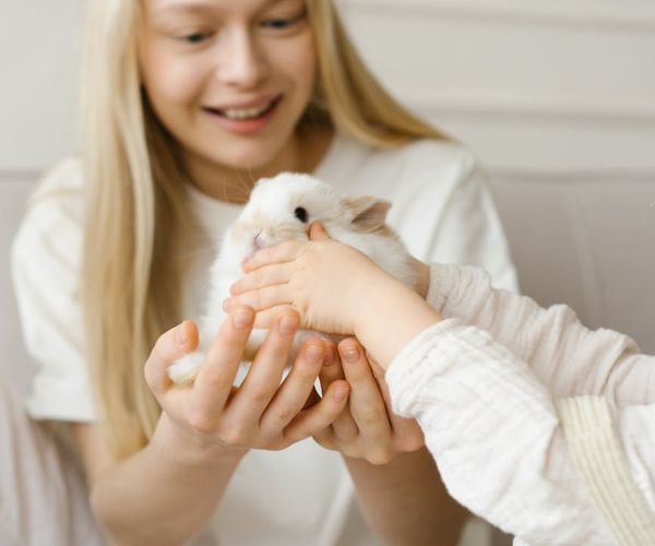 Hands gently cupping over a soft source of light, symbolizing care.